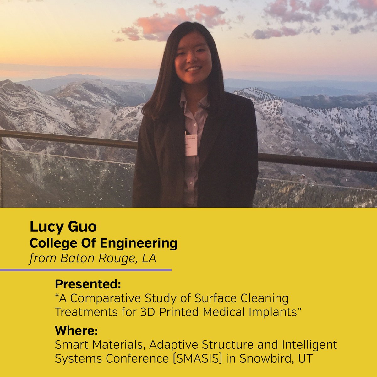 lsu_our's tweet photo. Check out this awesome LSU Discover Travel Stipend student!! βοΈπ @LSUEngineering @lsu #undergraduateresearch #LSUengineering https://t.co/IxvSbJgd2P