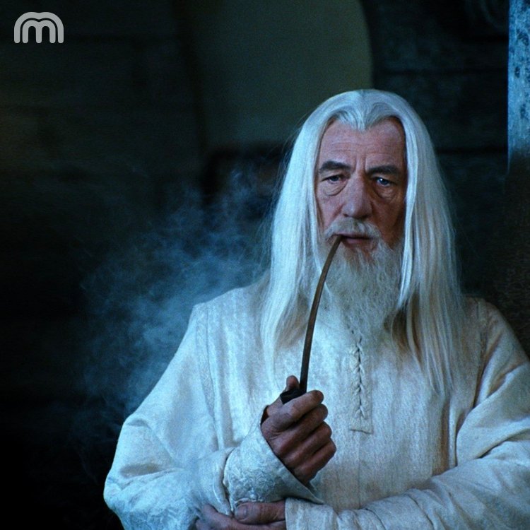 monmentorTeam's tweet photo. Qu'aurait fait la communauté de l'anneau sans son mentor, guide &amp; ami, Gandalf? 👨‍🏫🚀
#mentoring #startup #talent #rh https://t.co/yNTYK3Li7E