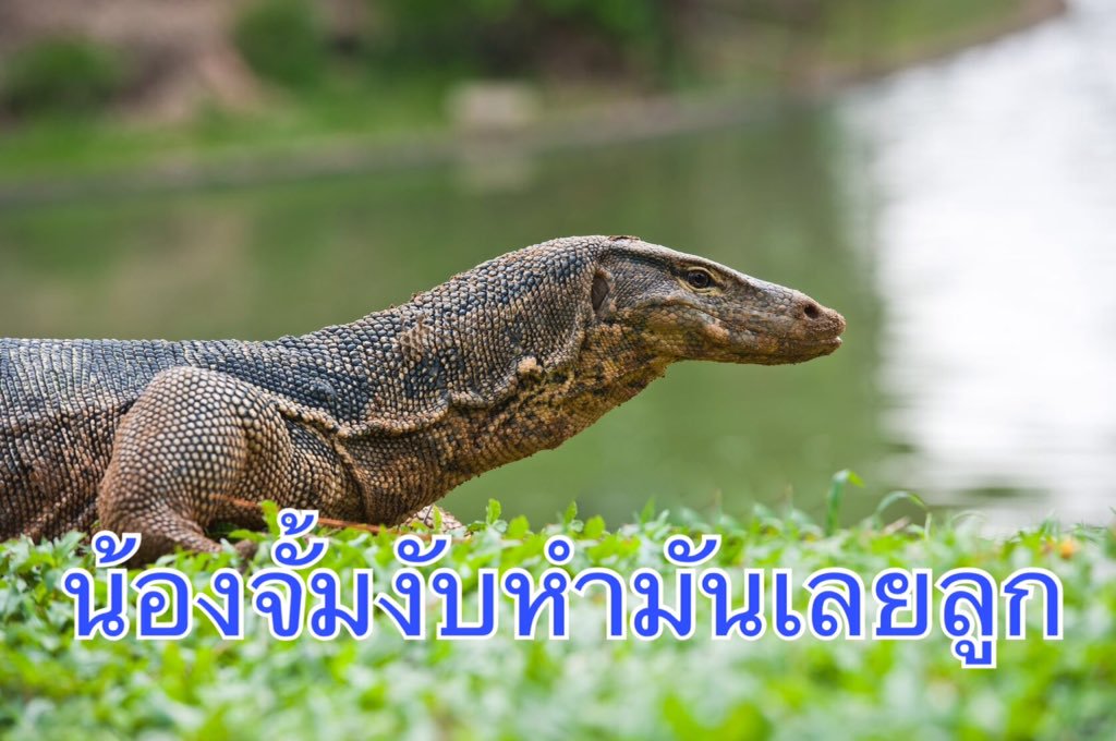 9294ALANLINE's tweet photo. ยินดีต้อนรับhereเจน3เข้าสู่อลันไลน์ครับ
1. @bbpnsc 
#ก็บอกว่าอลันไงวะ https://t.co/PgFbnloDvb