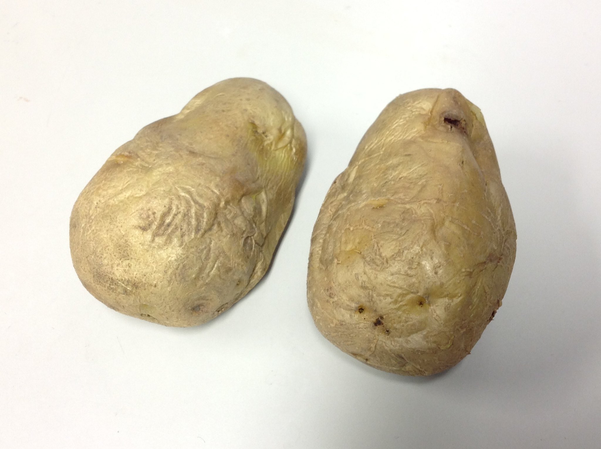 カソクキセンパイ ワコォ Pa Twitter じゃがいも はそのまま電子レンジでチンすれば食べられることを知ってますか 2つで5 6分ほど 500w 加熱すればokです 濡れティッシュなどで包む必要もありません 野菜室で保存すれば数ヶ月保存できます 研究室の非常食として