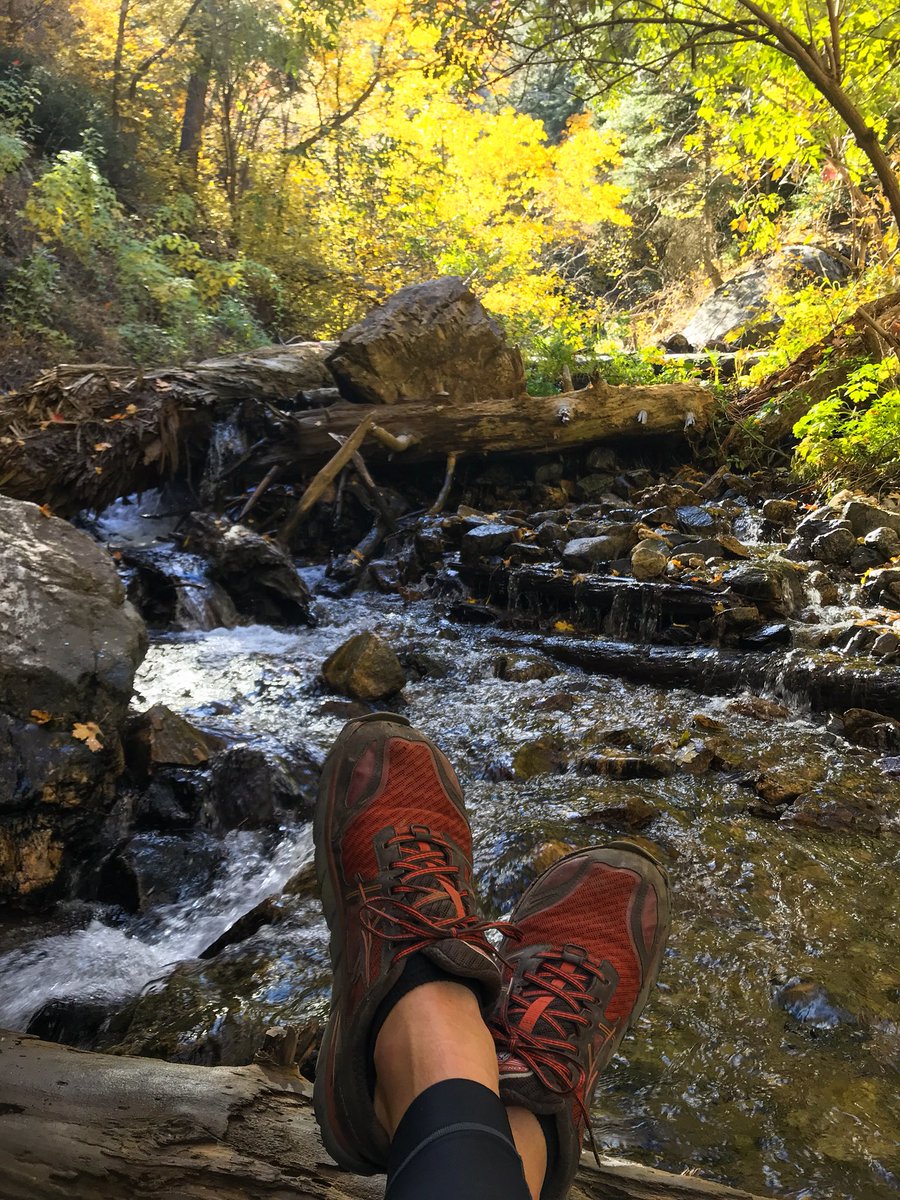 flyaltenes's tweet photo. Hump day thangs. @trailrunnermag @trailmoments @AltraRunning #embracethespace #zerodrop #fall #utah #trails #run #trailruning #color #happy https://t.co/YsFyTVmhyj