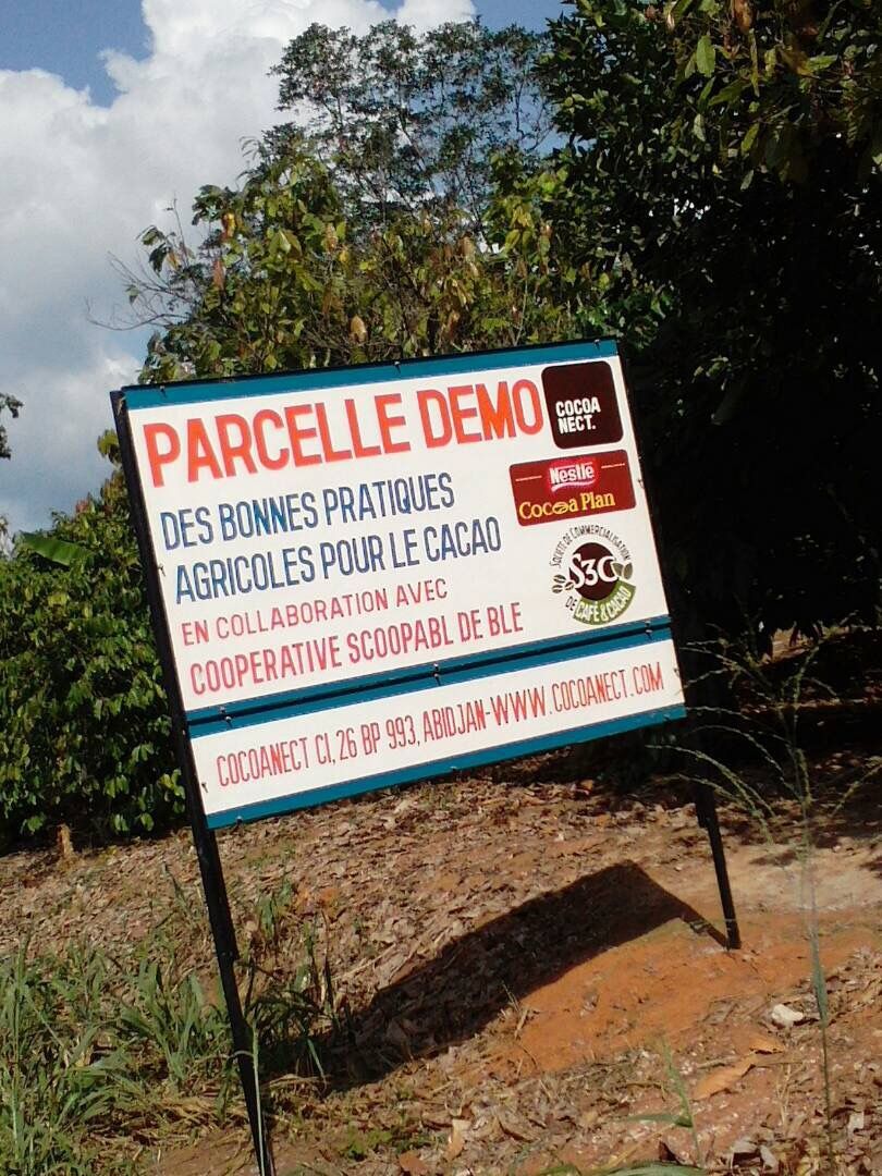 CocoanectBV's tweet image. Have you spotted our new 'Parcelle Demo' sign in Blé, #Ivorycoast? It certainly stands out! #cocoa #cocoanect #nestlecocoaplan with @Nestle