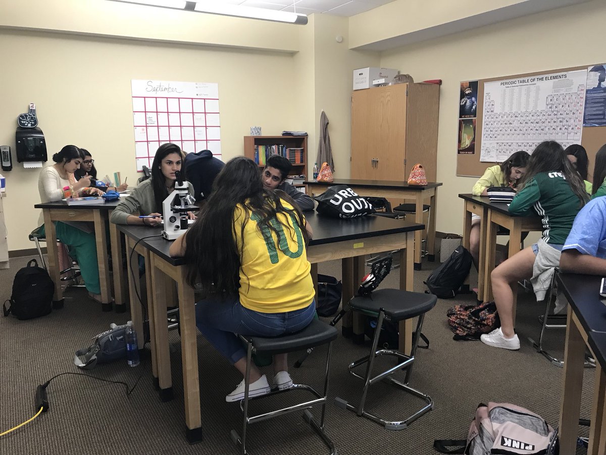KellyBorrowman's tweet image. Scenario stations for osmosis and diffusion - given a scenario can you explain what happened? #ibbio #topic1 @WPSHighSchool #WPSHS