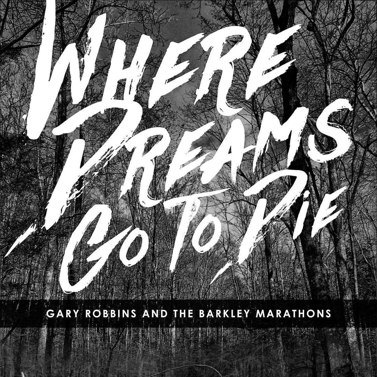 RunaissanceMom's tweet image. Anyone able to find an extra ticket for DC? @TheGingerRunner @mikewardian