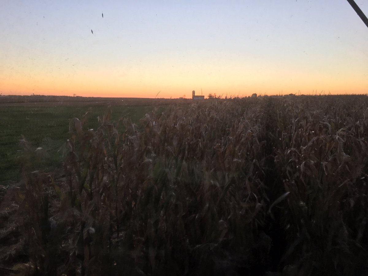 PrecisionBaker's tweet photo. @360yieldcenter #YieldSaver running smoothly, reducing butt shelling and ear bounce! #Harvest17 https://t.co/lyZCDsq3zS
