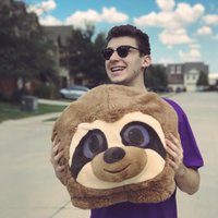 pokediger135's tweet photo. buy the head sloth now out https://t.co/0W9m4PaLa3