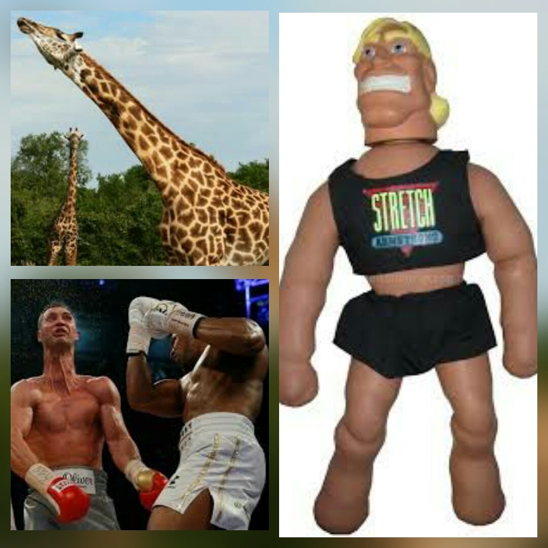 RossySealey's tweet photo. @anthonyfjoshua @StubHubUK When you  turned klitschko into a cross between a giraffe and and old school stretch armstrong #stretchko https://t.co/U1RGpiNYpX