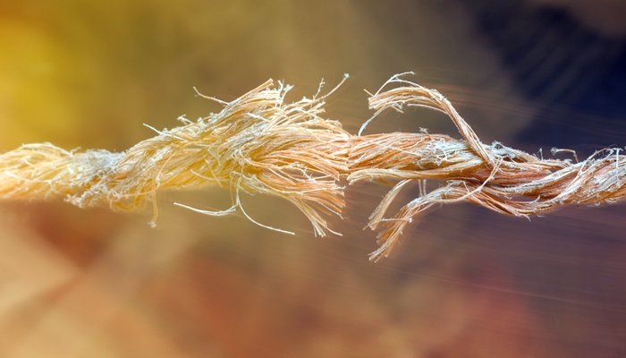 Adaptive Strain, Adaptive Change #ChangeManagement buff.ly/2ydZuXJ