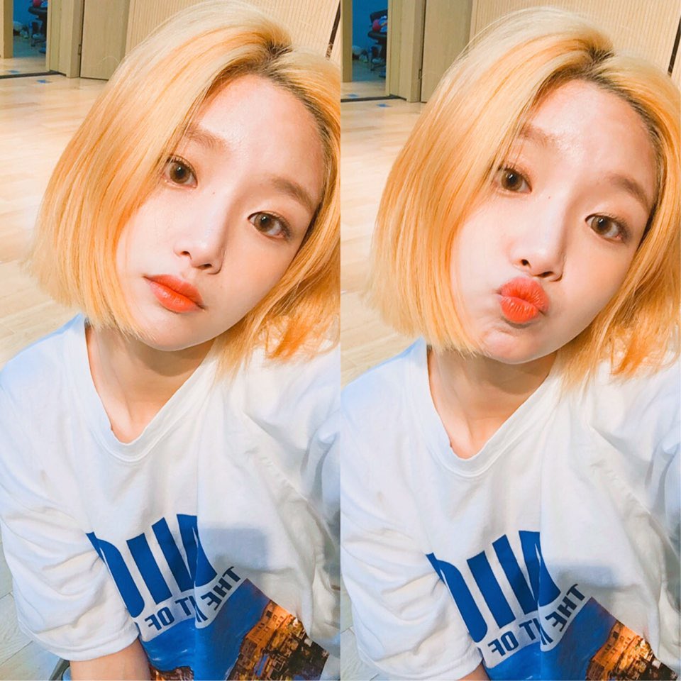 forELRIS's tweet photo. Bella ♡ 171013
#벨라 #bella #엘리스 #ELRIS https://t.co/YgKUssBz2z
