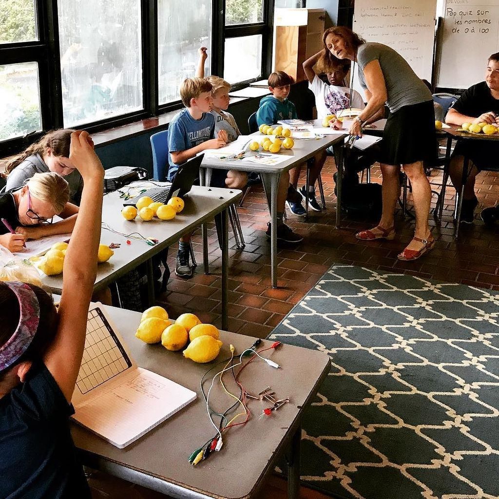 jmpcronin's tweet photo. When life give you lemons... you make some batteries in #MCCPS Hacking STEM https://t.co/vLmVUEBEXD https://t.co/ROBPIQbvji