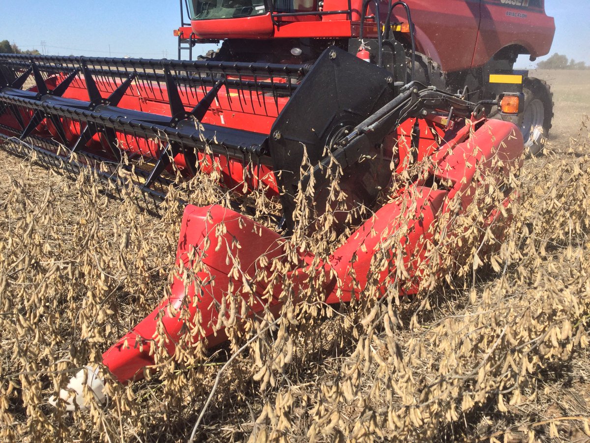BecksHybrids's tweet photo. #BecksPFR in CIL wrapped up corn harvest and is working hard to finish gathering their soybean data. We have a #PFRBOOK deadline to hit! π https://t.co/DgXOgbPA3C