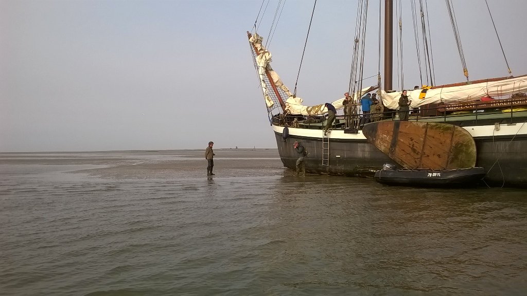 Quirin Smeele tweet media