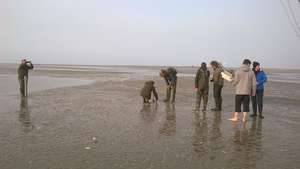 Quirin Smeele tweet media