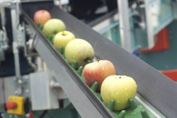 Voedselveiligheid en hygiëne wots.nl/nieuws/voedsel… #IP #wotsbeurs