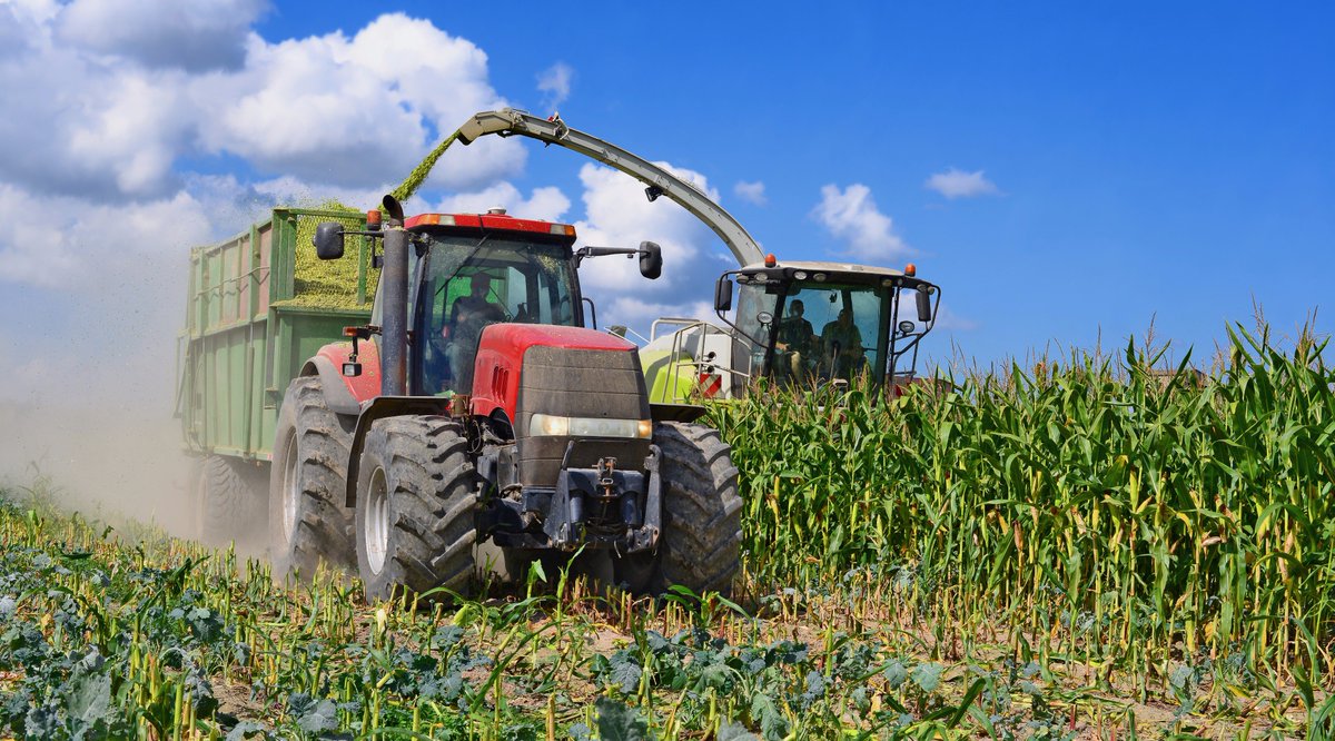 BioYorkshire's tweet photo. Focus on #feedstocks + chance to analyse #quality of your #silage #event 1st Nov, #York https://t.co/09oYZEGQwD #anaerobicdigestion https://t.co/WOL4OF4oU0