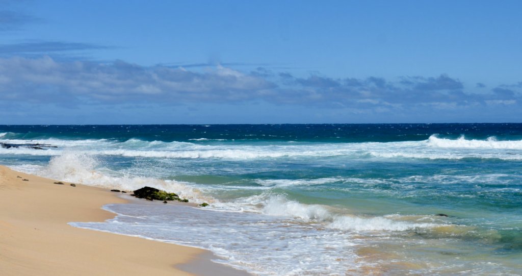 ratherhave_cake's tweet photo. Hawaii! What A Trip! The Beaches. https://t.co/QkXDWShJG4 https://t.co/fS8GWlVwH0