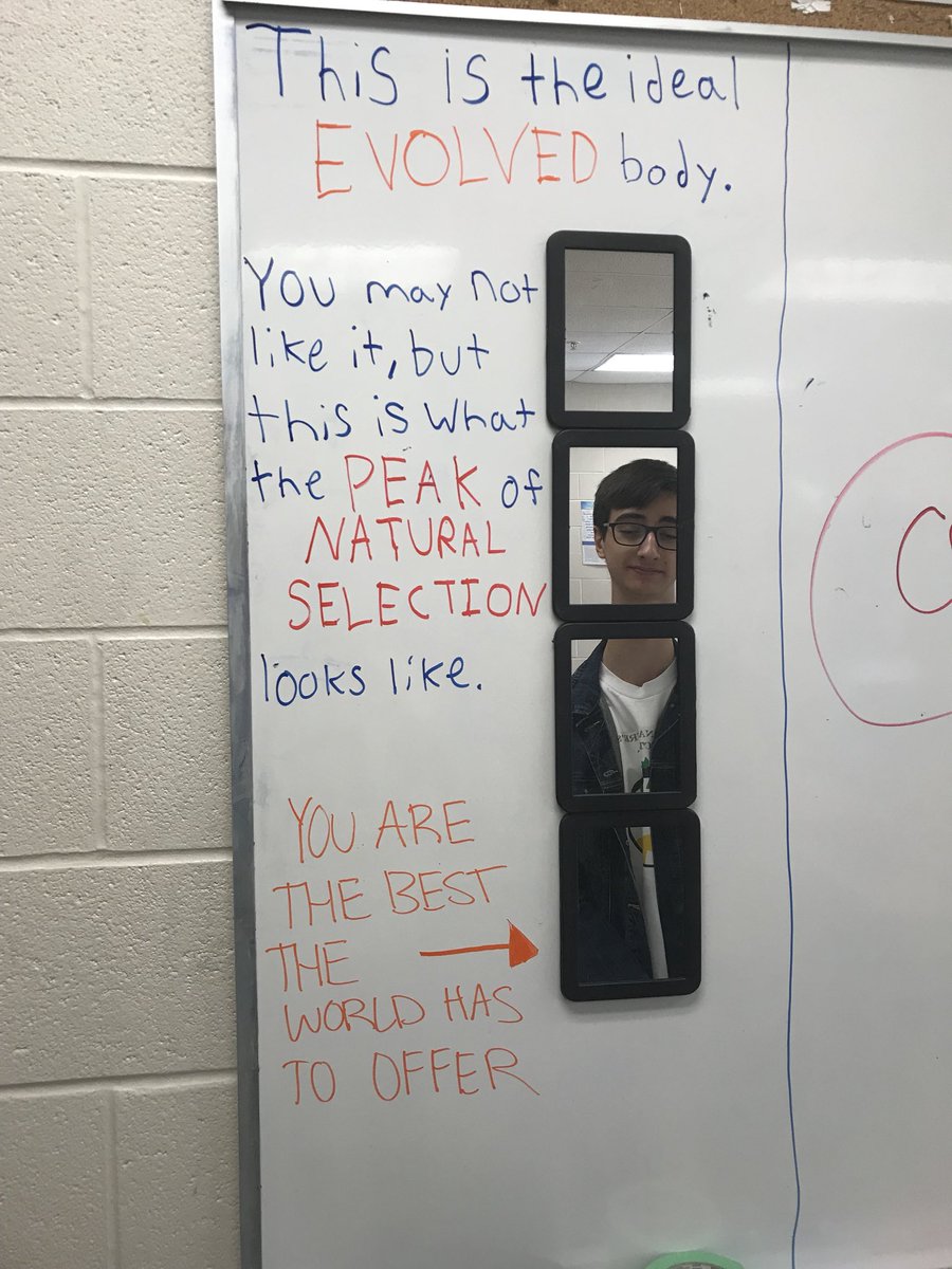 Darwinism__'s tweet image. This is what peak performance looks like... #variate