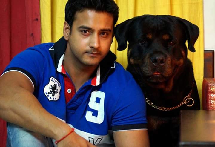 winner_Ayush's tweet photo. Their happiness is depends on you let them also enjoy, Let them live safe and sound Have a #SoundFree & #AnimalFriendly Diwali..🐶🎉🎊.. https://t.co/zBdKwPI0SU