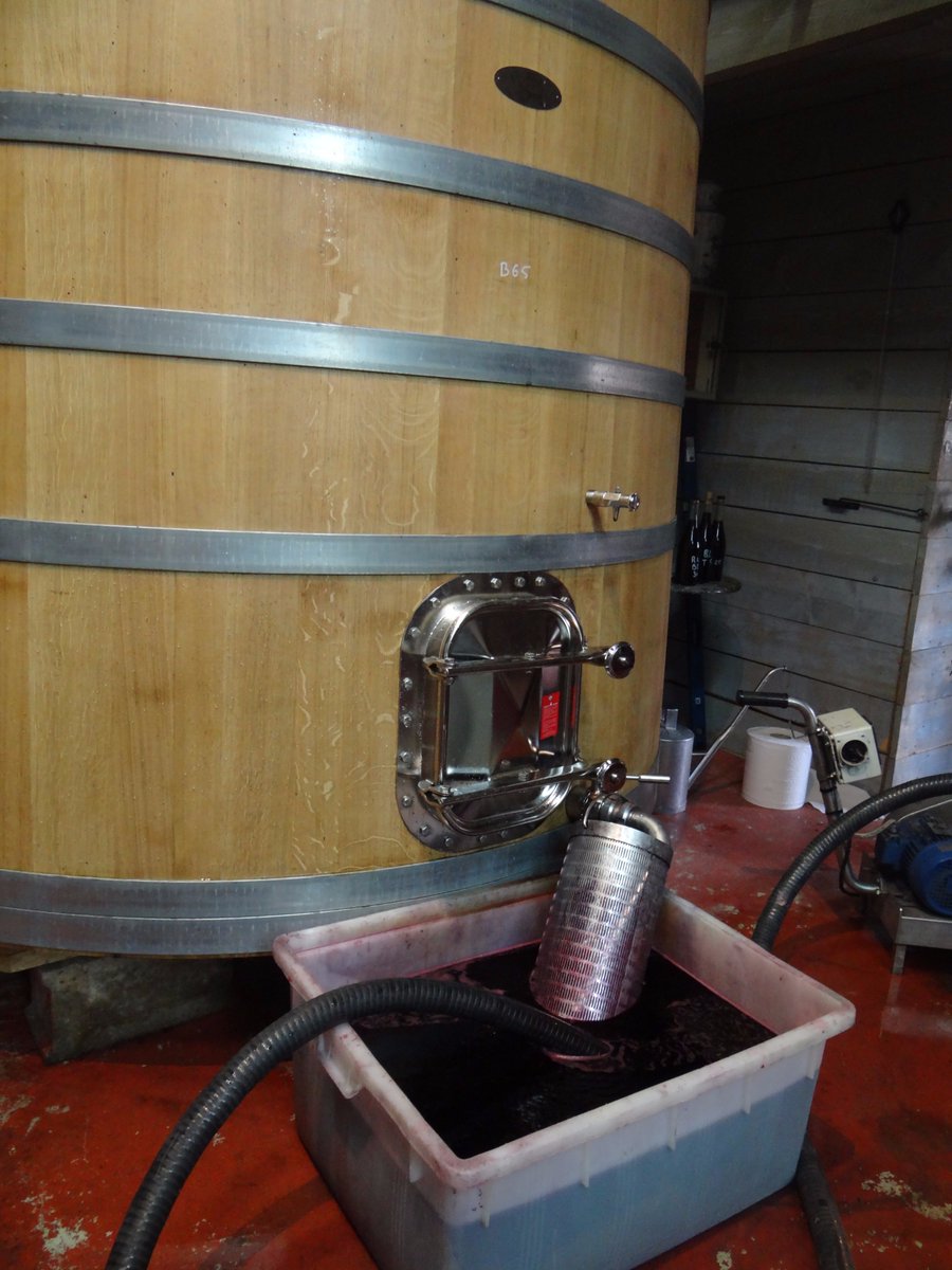 FMabileau's tweet photo. Soutirage et Décuvage au domaine ! Çà bosse dur ! 

#Wine #LoireValley #CaVaEtreBon https://t.co/iCj8EUQITL