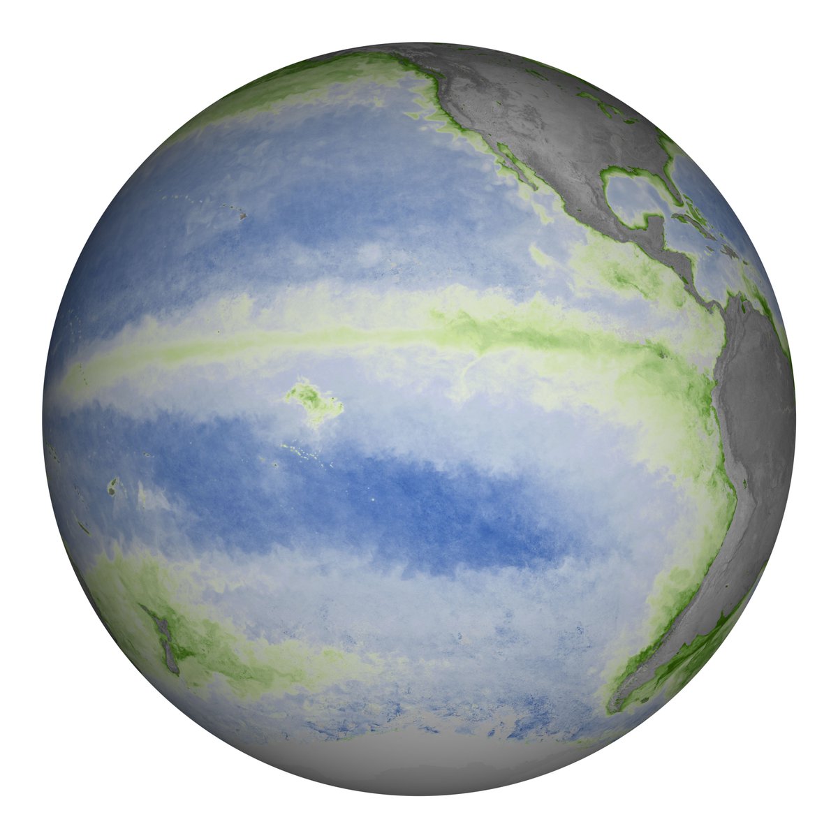 Gaia_Pedia's tweet image. "Blueness of the ocean" Joaquín Chaves-Cedeño, an ocean scientist from  NASA #GoddardSpaceFlightCenter, described the waters of the Pacific