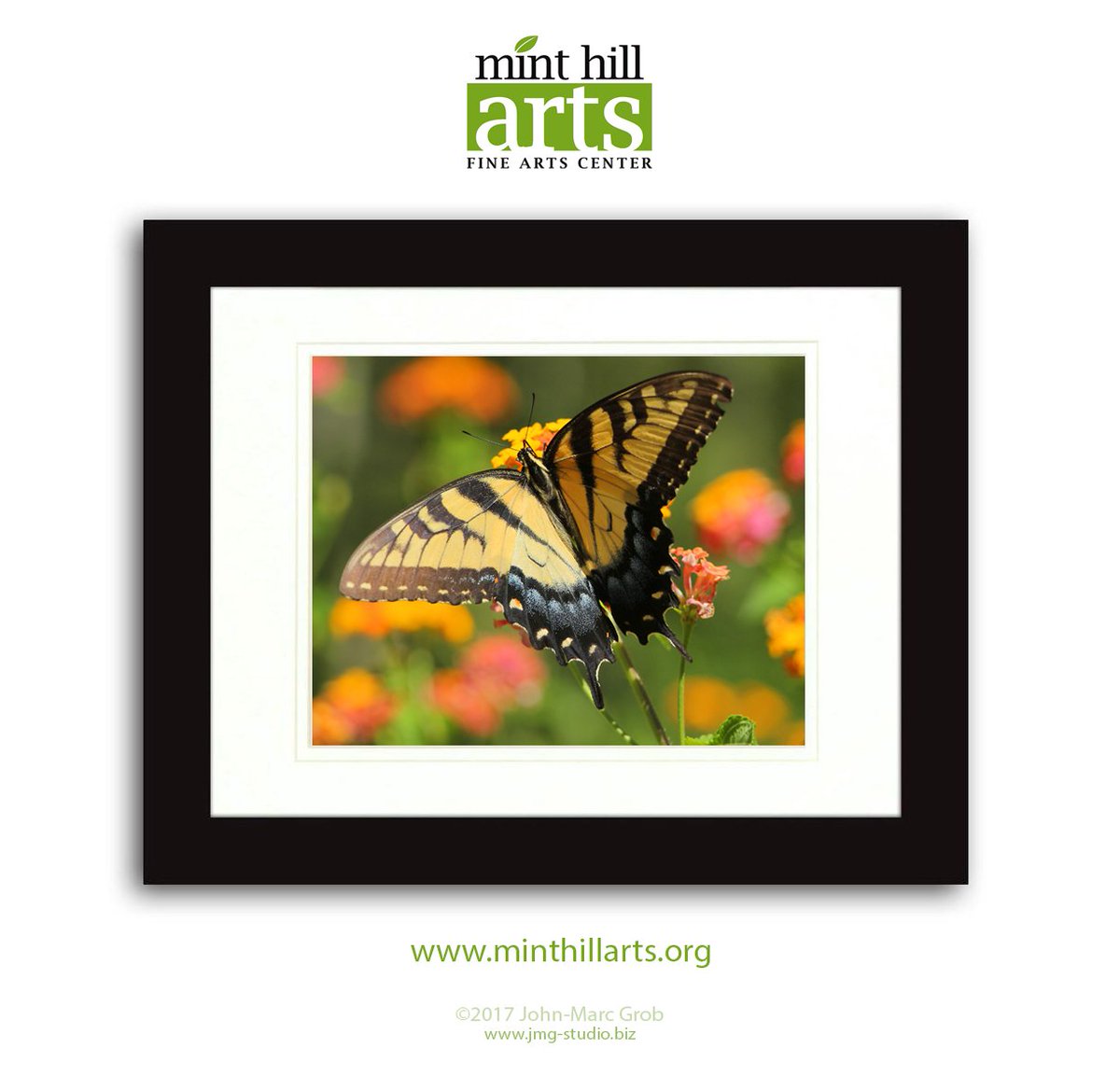 JMGstudios's tweet photo. Wall ready to hang #homedecor #interior #wallart #art #photography #buyart #jmgstudios https://t.co/8voRibKUnu