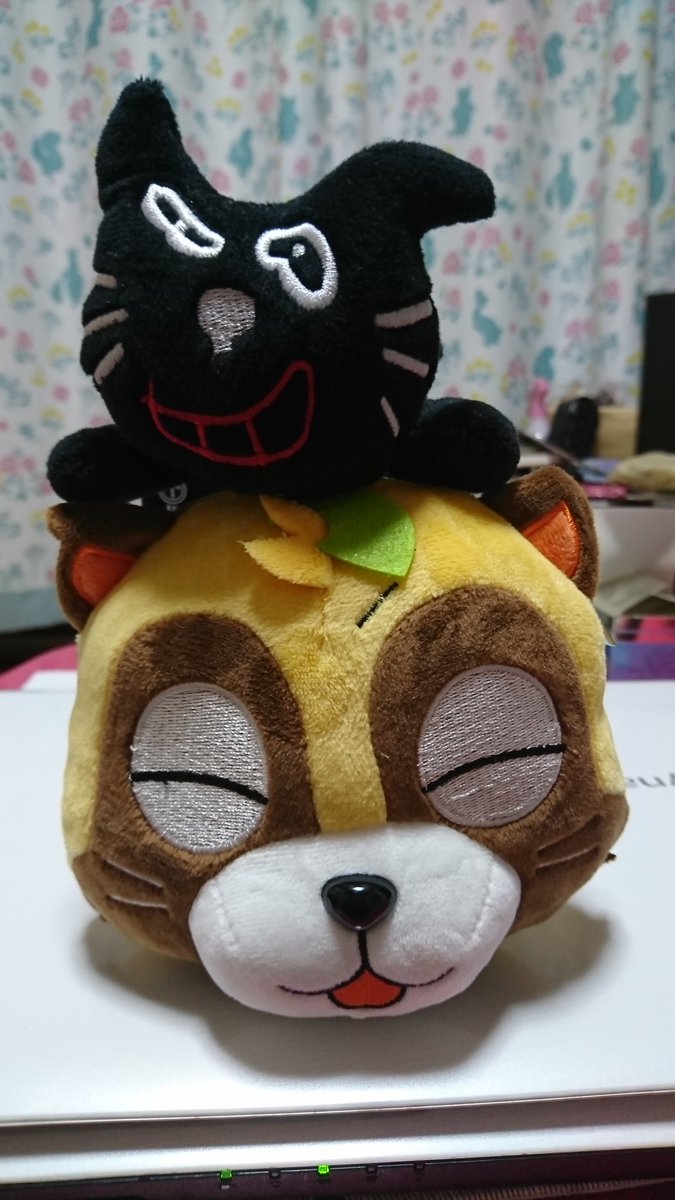 たぬき キヨ