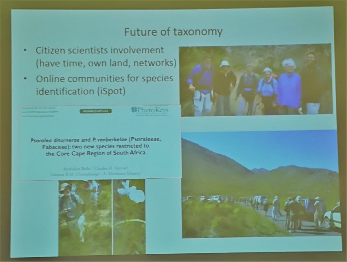 SANBI_FBIP's tweet photo. The current status &amp; future of #taxonomy in SA, according to @BioSciUCT Prof Muthama Muasya #NSCFSA https://t.co/KtqwO6r8AU