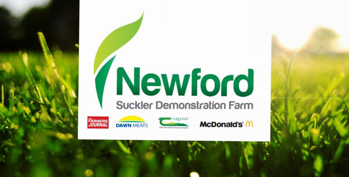 teagasc's tweet photo. Matthew Murphy @matty6320 told the #BeefConf17 that he is using 100% AI on #NewfordDemo. Check out his presentation https://t.co/mu0sAod9Cz https://t.co/dphqNmcUpt