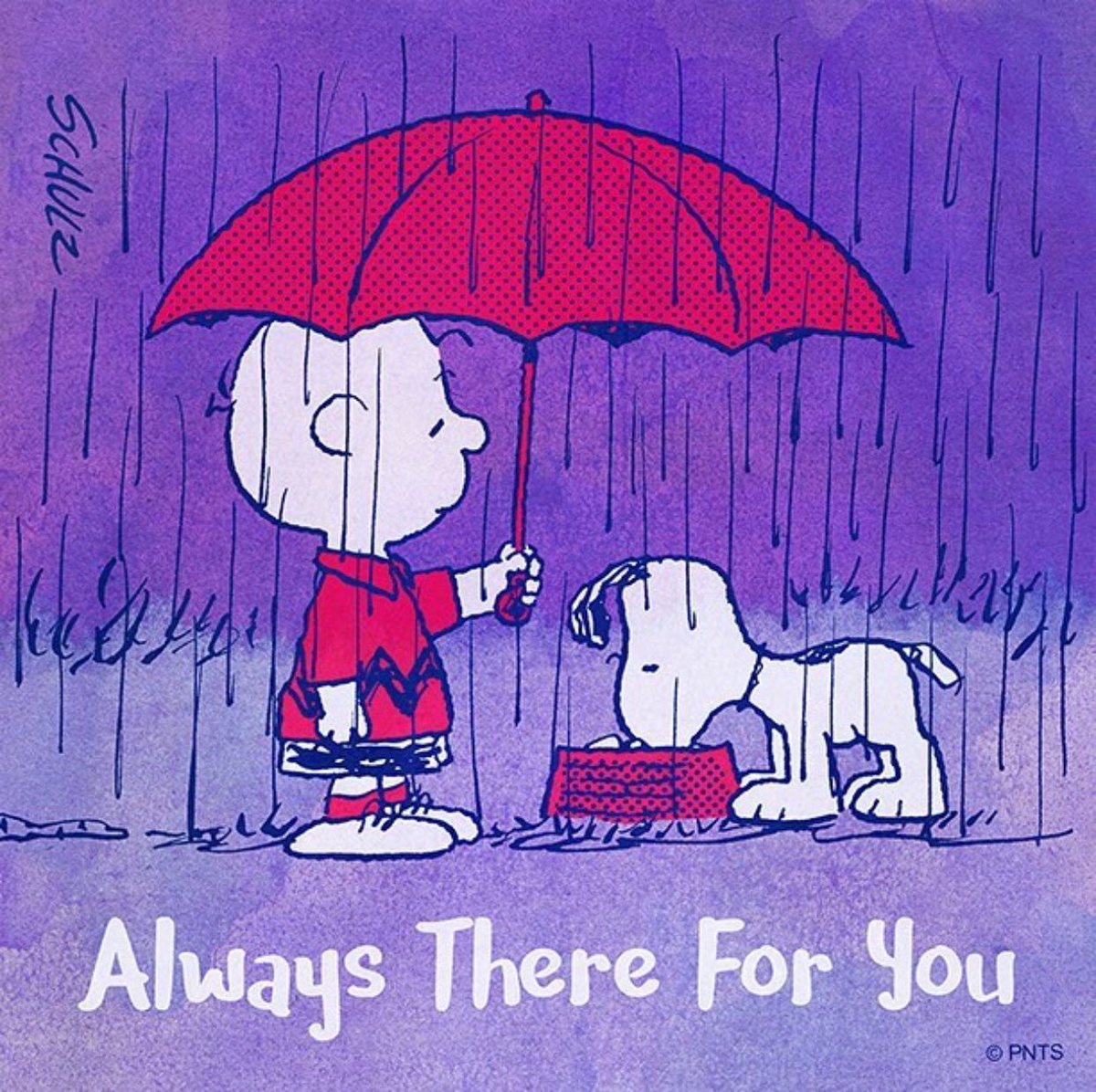 ikeLanser's tweet photo. 😊 https://t.co/l1dLFJ8dEb