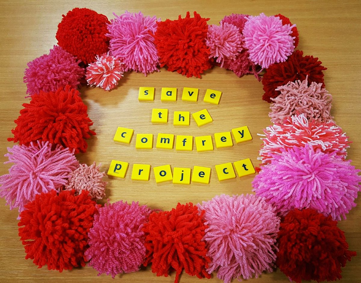 Please support North East refugees and asylum seekers. Donate here to keep the amazing <a href="/ComfreyProject/">The Comfrey Project 🧡</a> going. localgiving.org/donation/theco…