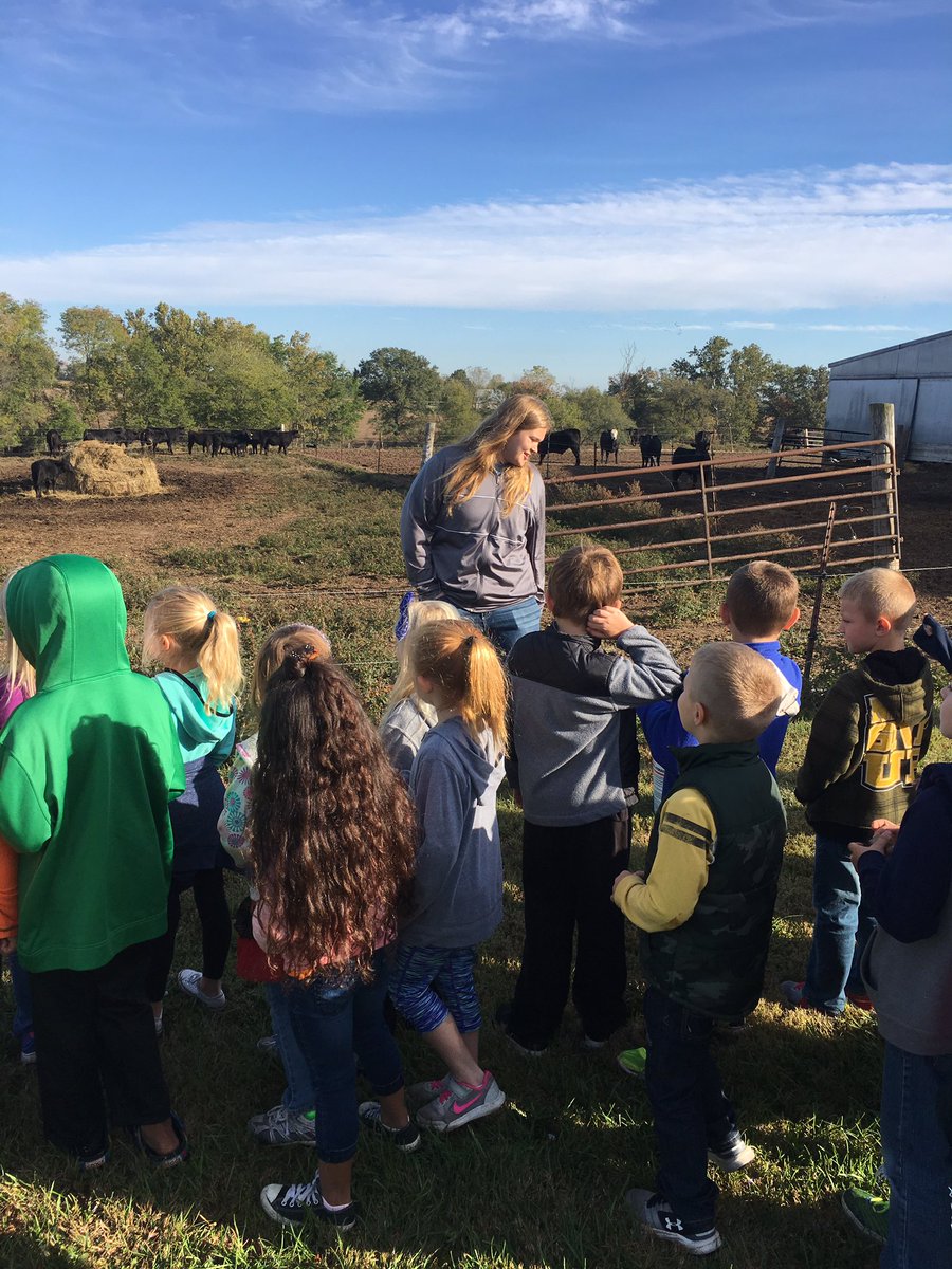 tricobbffacoach's tweet photo. FFA members teaching first graders about farm life and farm safety. https://t.co/i9tgPElfc7