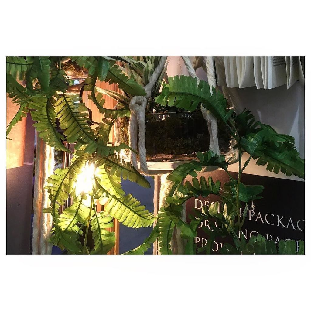 Stylemattersltd's tweet photo. The hidden detail within our stand @independenthotelshow stand 149 #plants #leaves #green #tones #nature #lighting… https://t.co/glVoY31EbF https://t.co/igH0ifTuNU