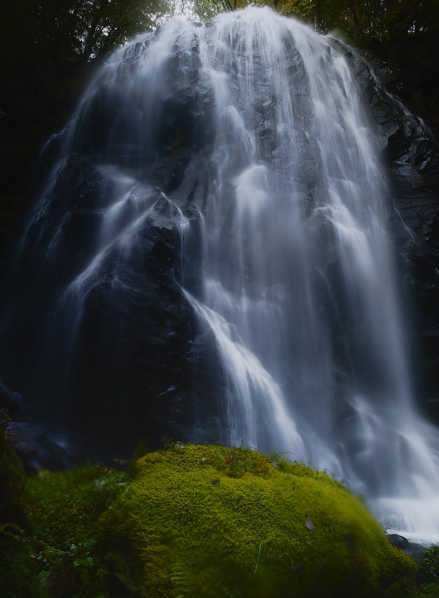 shumonphoto's tweet image. このデータは撮影時にレンズに水滴ついてしまって、部分的にかなりボケボケなんだけど、（拭いても拭いても付いちゃうし。。）
SPPのフィルライトの効果で遊んでみたら面白かったので公開。