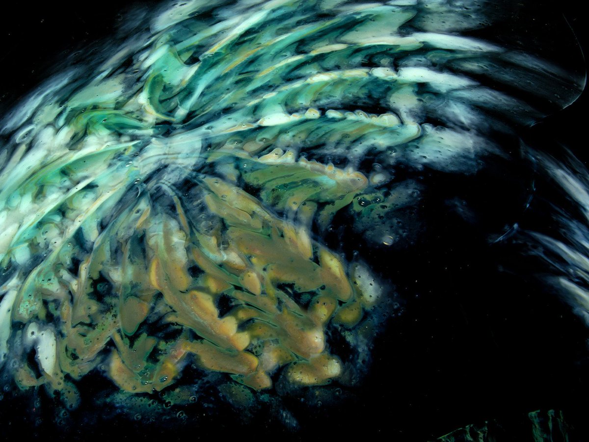 WimberleyGlass's tweet photo. What does this close up of our art glass remind you of? #wimberleyglassworks #artglass #smtx #atx https://t.co/jyxRyEVURs