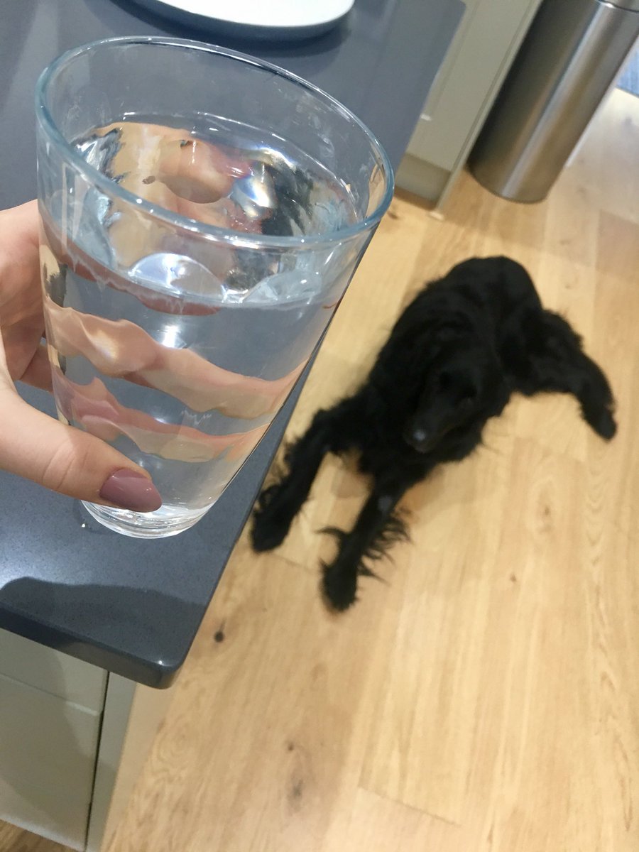 HollieMayFulton's tweet photo. L U N C H !!!๐ด
Cooked a lovely omelette and having a big glass of water๐๐ผโฅ๏ธ
#LeanQueen ๐ฆ https://t.co/zwCn2OfOiH