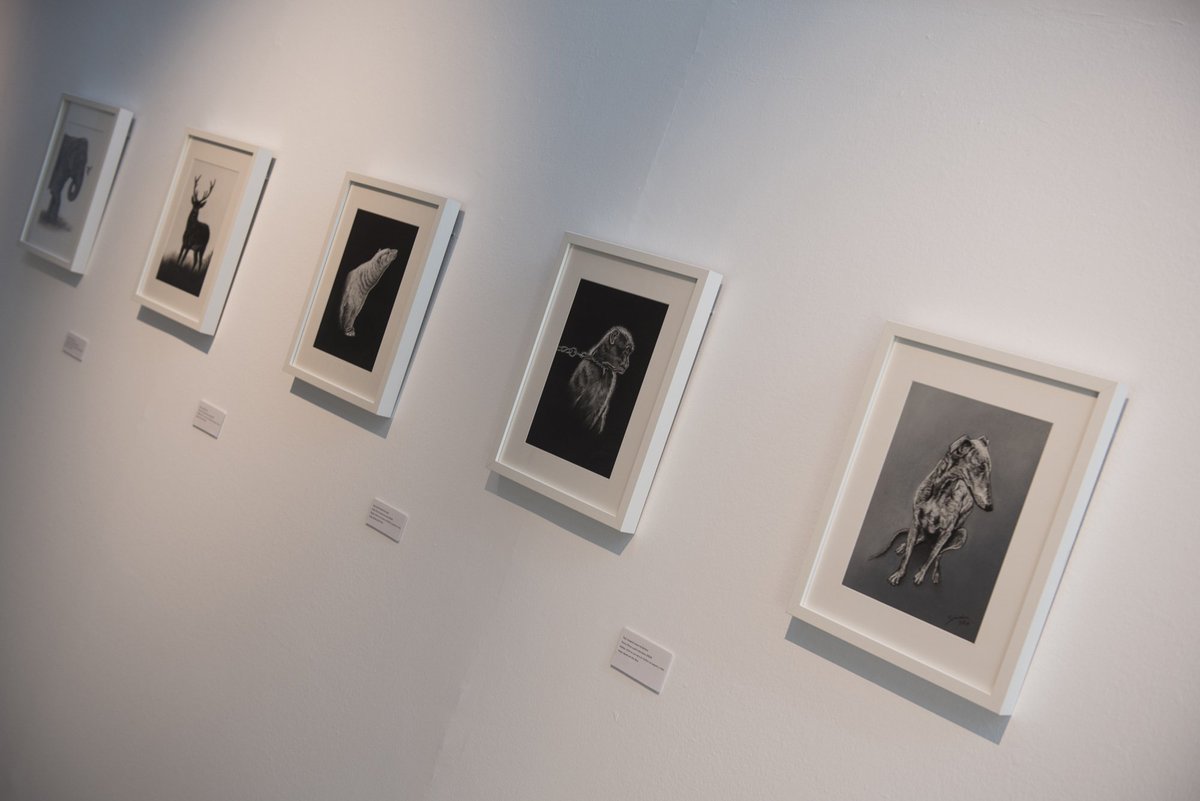 Portrait_Animal's tweet photo. Exposición de pintura animalista: Mostrando la realidad
#ExposiciónDePintura #animales #MostrandoLaRealidad #GabrielaDelOlmo https://t.co/KDY57eWLh4