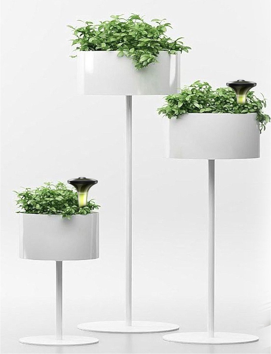 smartdesignlab's tweet photo. WATERING PLANTS FOR DUMMIES!
https://t.co/S9jUZ4Rtv3 https://t.co/607kW55muo