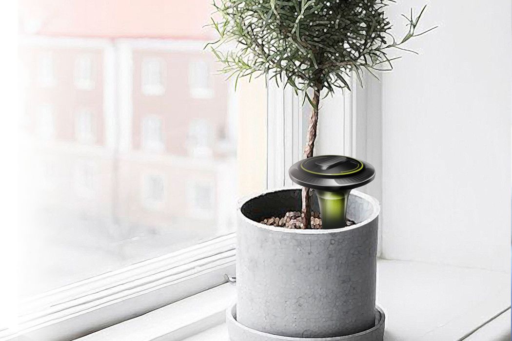 smartdesignlab's tweet photo. WATERING PLANTS FOR DUMMIES!
https://t.co/S9jUZ4Rtv3 https://t.co/607kW55muo