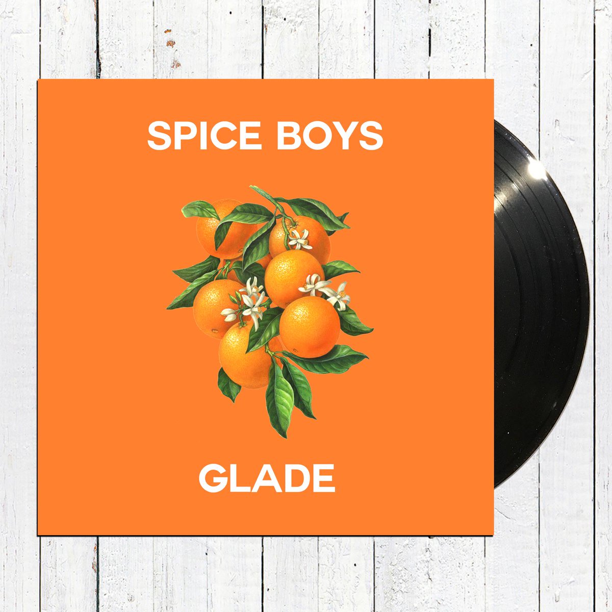 Debut LP from Spice Boys out January 12th!! Check out the lead single over on @GoldFlakePaint right now: goldflakepaint.co.uk/new-music-spic…