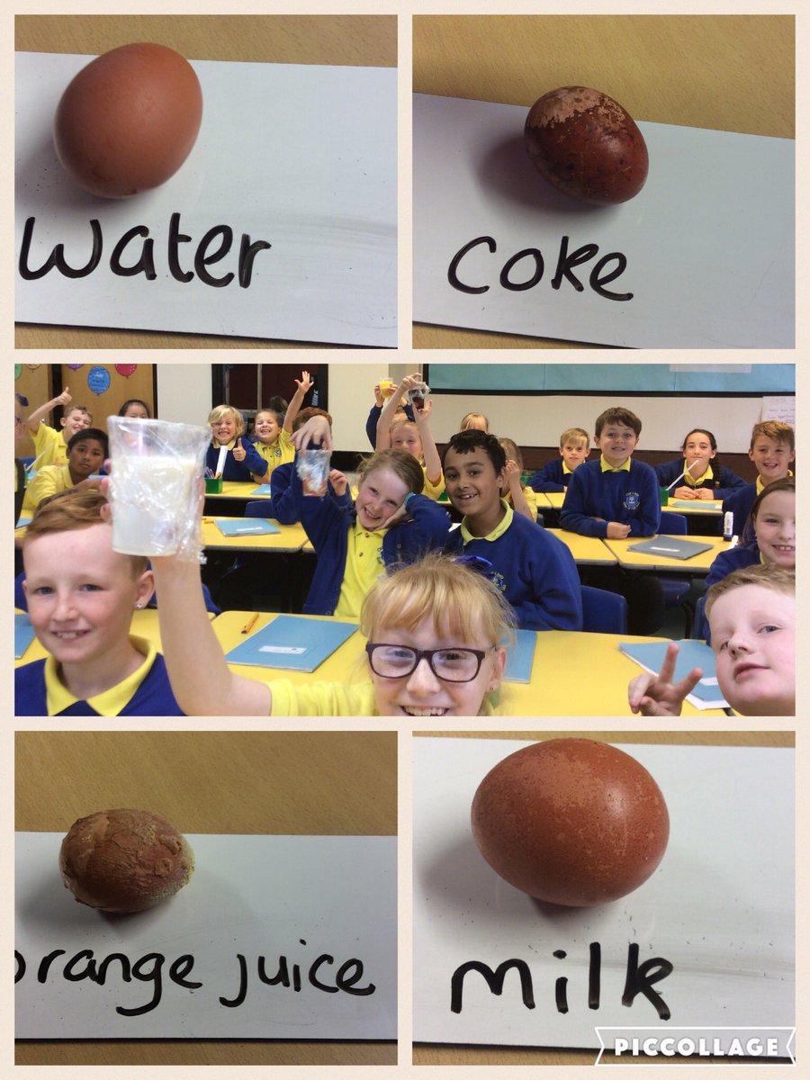 Photos of our science investigation into the effect of soft drinks on eggshells. Some eggcellent work and smashing conclusions.