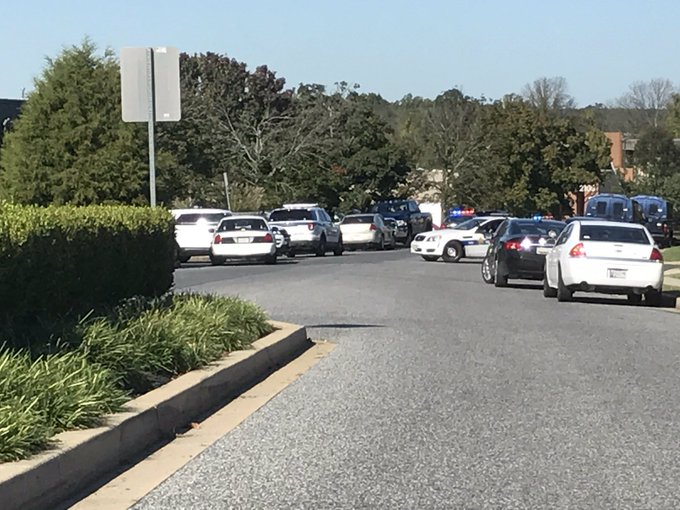 Voir l'image sur Twitter