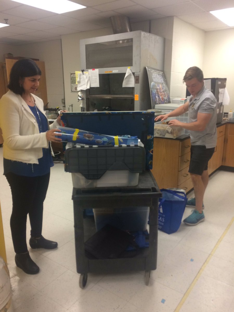 coraldoctors's tweet photo. #coraldoctors prepping for #ecofestarlington this Saturday! Come see us at the Levitt! #outreach #makesciencecoolagain https://t.co/UPE2tGgros