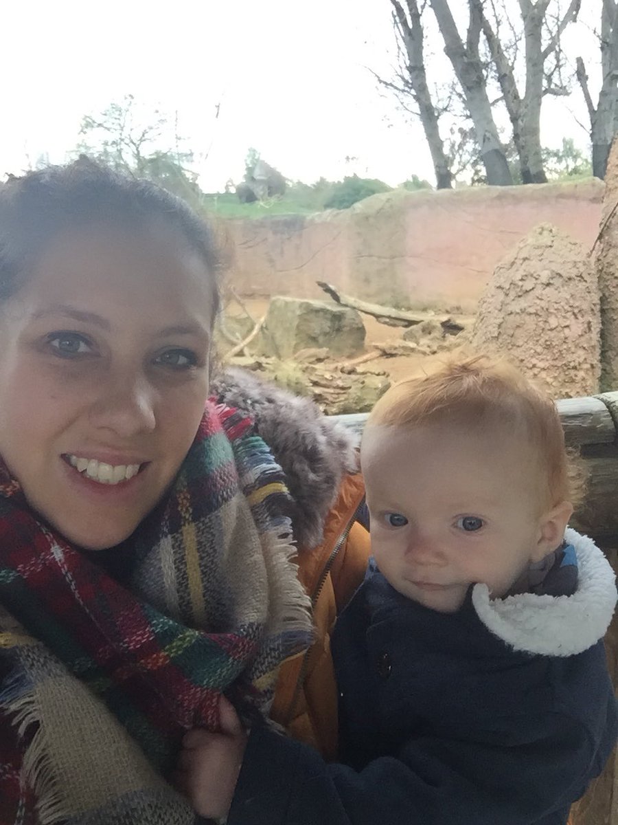 mamaandlilbear's tweet photo. Only two days left of Mat leave 😥 spent today @chesterzoo with little Bear 🐻 #chesterzoo #endofmatleave #backtoworkFriday #matleave https://t.co/wIg2LBnfdo