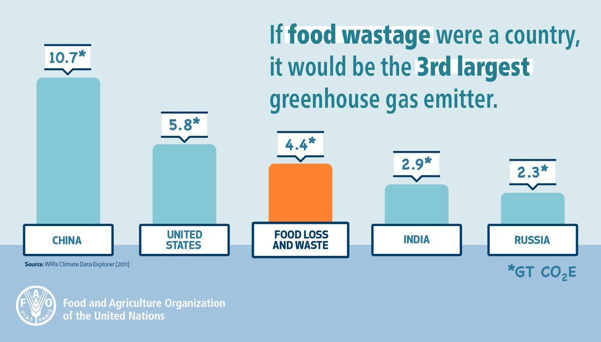 FAOKnowledge's tweet photo. If #foodwaste were a country, it would be the 3rd largest GHG emitter. Reduce your food waste to take #climateaction! https://t.co/97wlt8i2YP