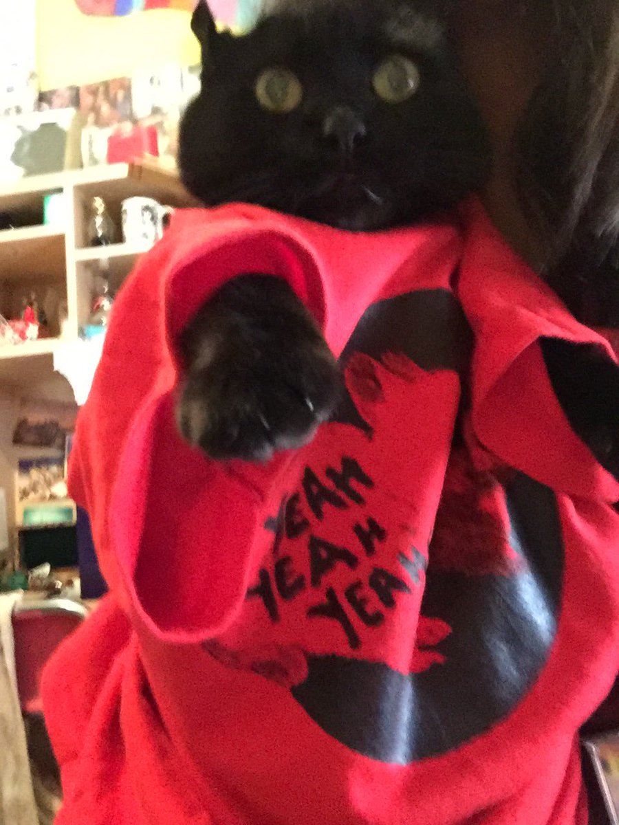 CrabBody's tweet photo. Hey, @YYYs we know a few things about sick licks🤘🏼#FeverToTail https://t.co/BRXQDe5vS3