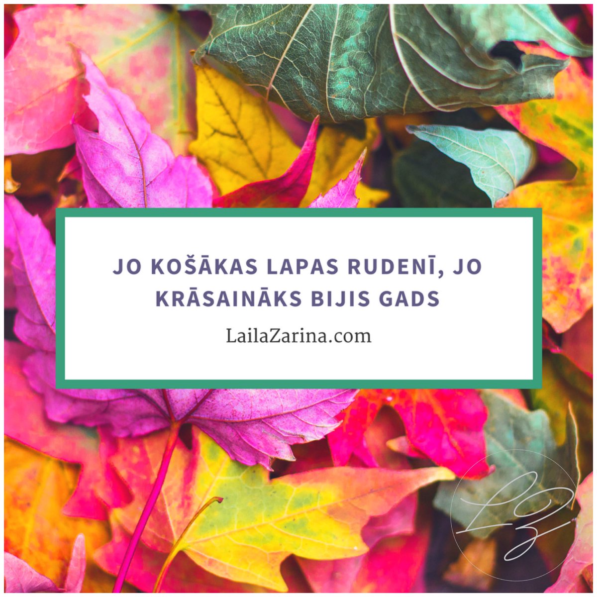 Laila Šēnberga Zariņa tweet media