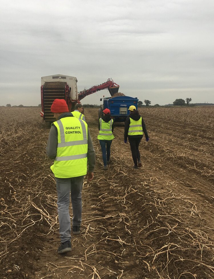 Quality control team on a field trip today #fromfieldtofork