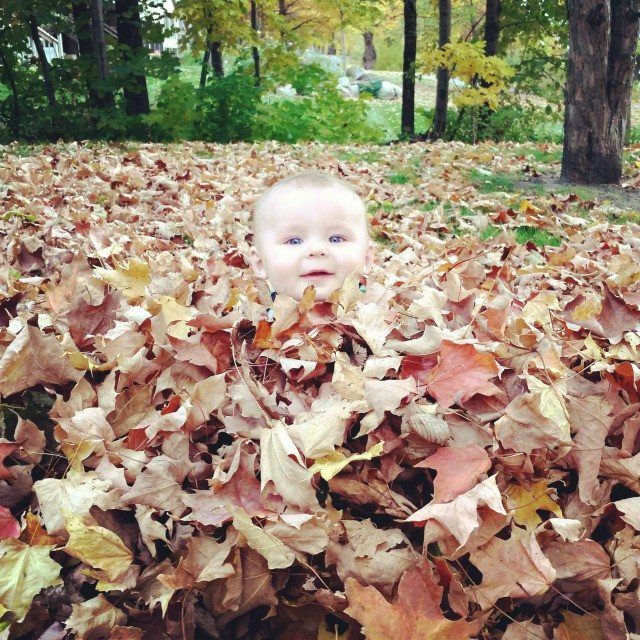 homespothq's tweet photo. Are the leaves piling up this fall? https://t.co/7tfX4yw4aN https://t.co/FH5HRJwcdw