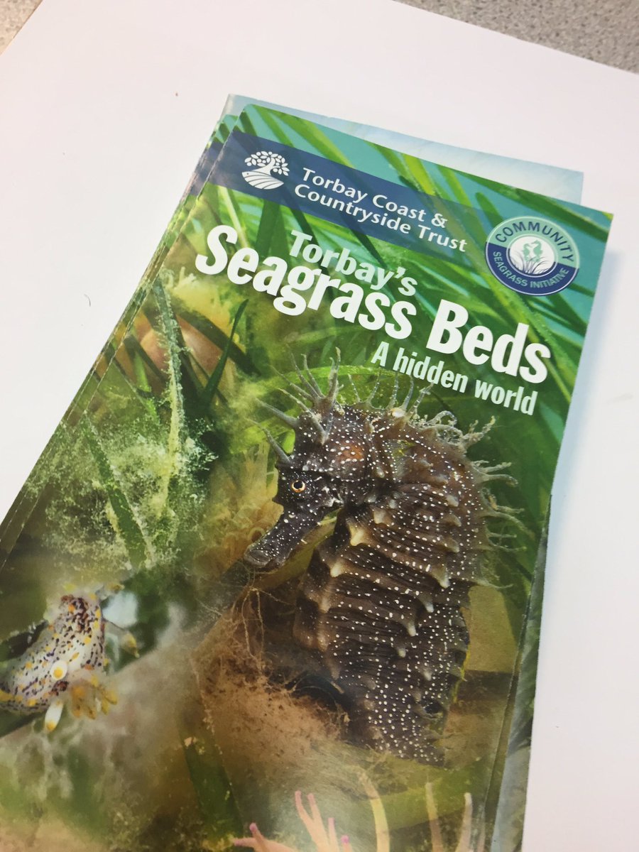 CreativeArts&Tech tweet media