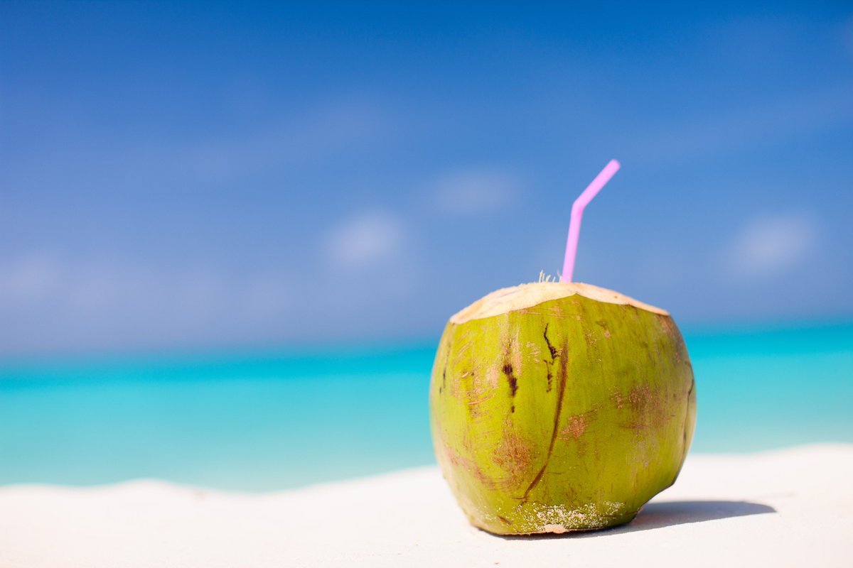 Compass_Connect's tweet photo. Still deciding on your next holiday? Looking for some inspiration? See why we are different and give us a try. https://t.co/jaPbs7XpWC https://t.co/YxilE72ZIA